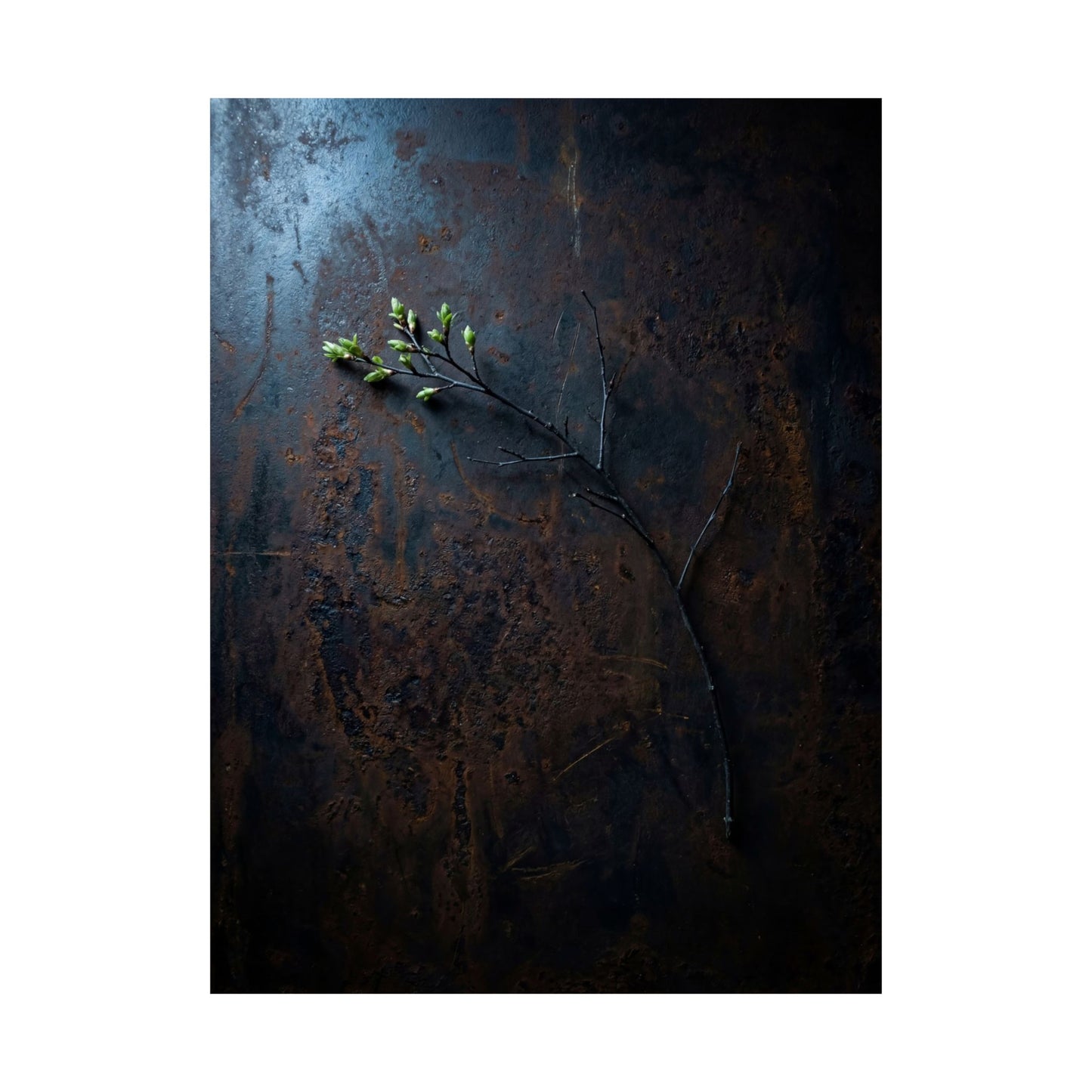 Rust Patina Spring Wall Art Print | Dark Japandi Sophisticated Design