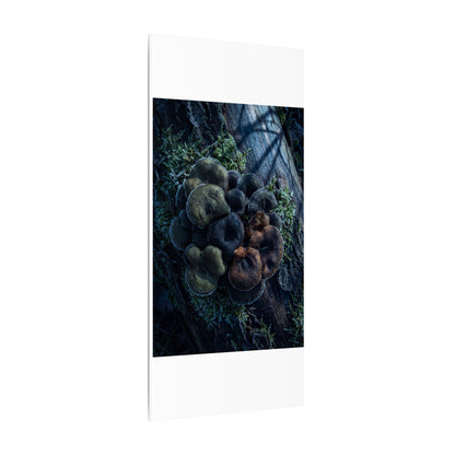 Wild Mushrooms Moody Minimal Canvas Art | Moody Dark Japandi Art