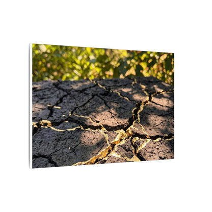 Shibui Cracked Earth Canvas Art - Kintsugi Gold Repair