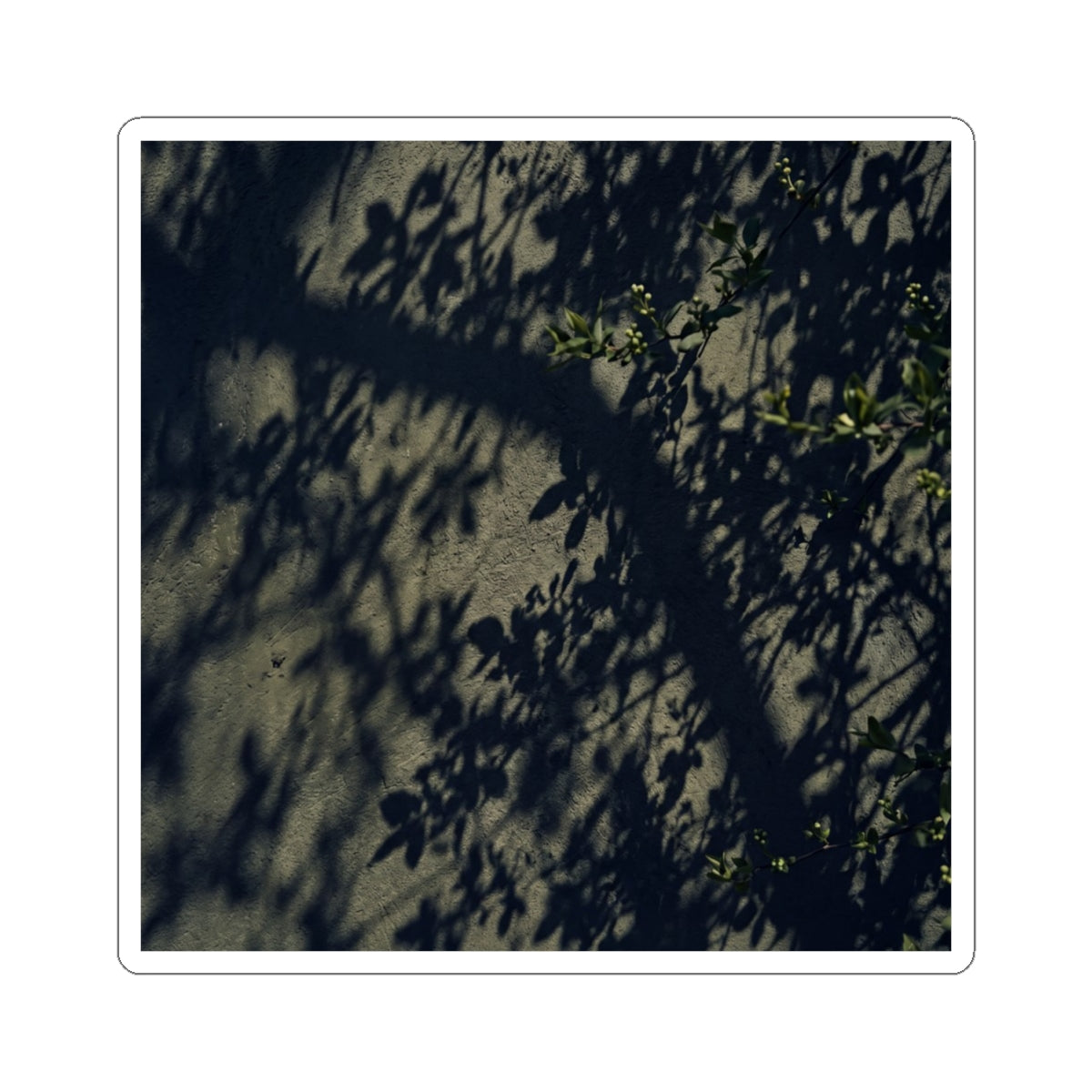 Dark Japandi Shadow Play in Dappled | Moody Minimal Sticker