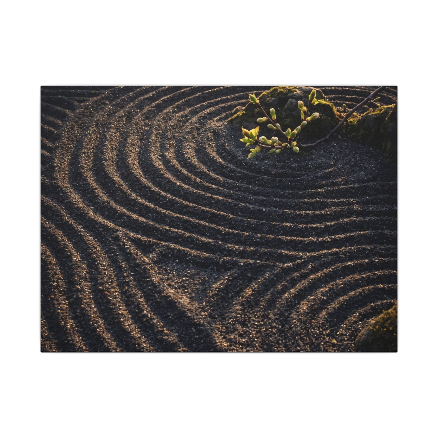 Spring Rock Garden Shadow Zen Canvas Art | Atmospheric Decor