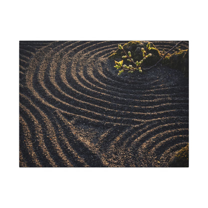 Spring Rock Garden Shadow Zen Canvas Art | Atmospheric Decor