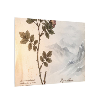 Winter Mountain Mist Herbarium Canvas Art | Earthy Decor