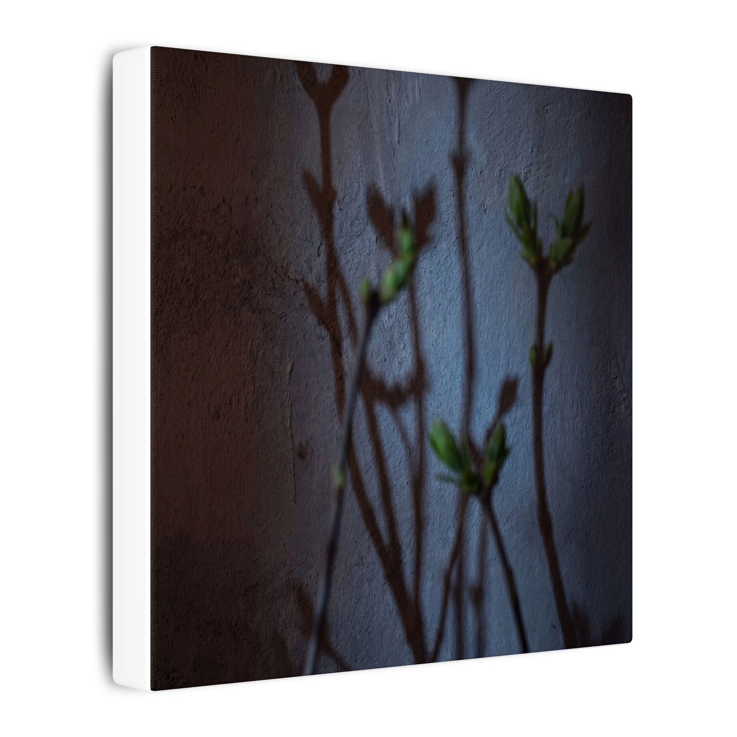 Shadow Play Spring Canvas Art | Dark Japandi Sophisticated Design