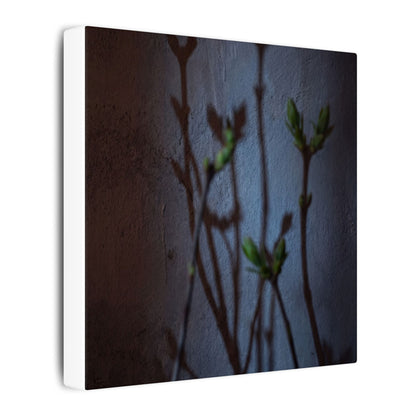 Shadow Play Spring Canvas Art | Dark Japandi Sophisticated Design