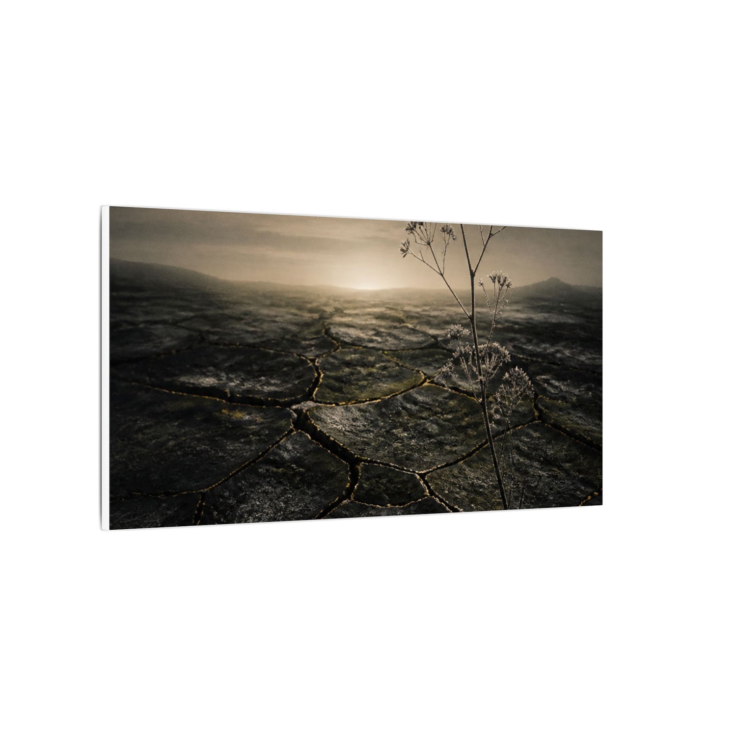 Dawn Cracked Earth Canvas Art - Dark Japandi Mono No Aware