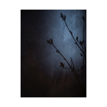 Shadow Play Wall Art Print | Spring Dark Japandi Moody Minimal Art