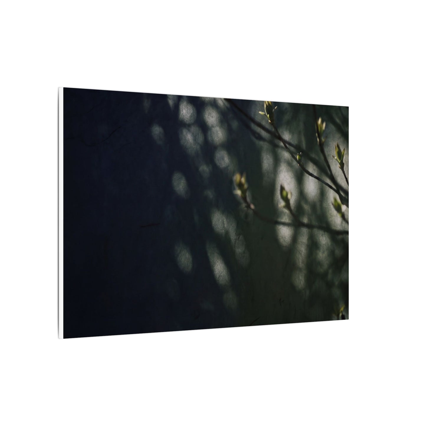 Dark Japandi Shoji Screen in Dappled | Moody Minimal Canvas Art