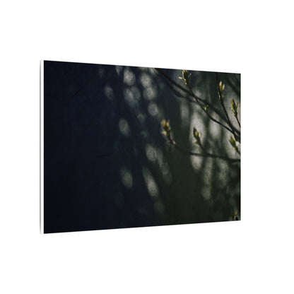 Dark Japandi Shoji Screen in Dappled | Moody Minimal Canvas Art