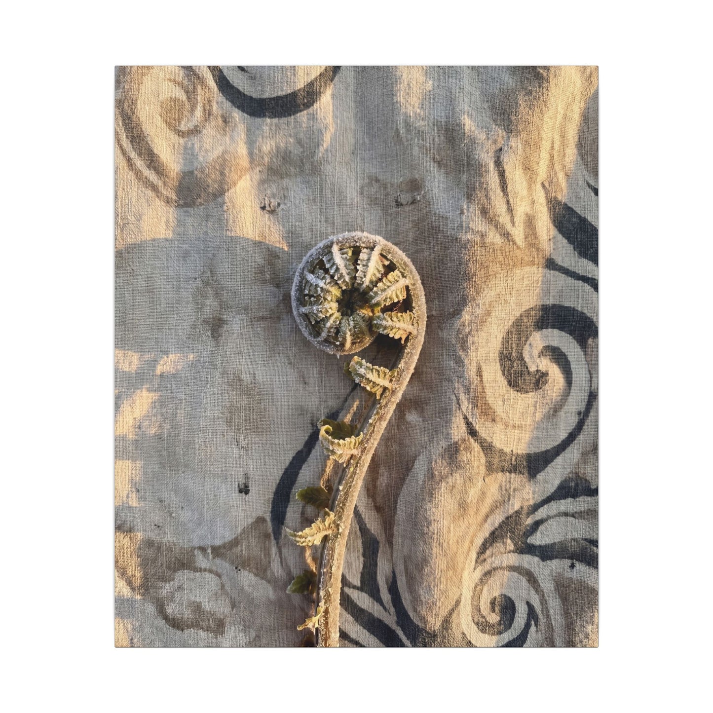 Fern Unfurling Canvas Art | Winter Japandi Japanese Pattern Art