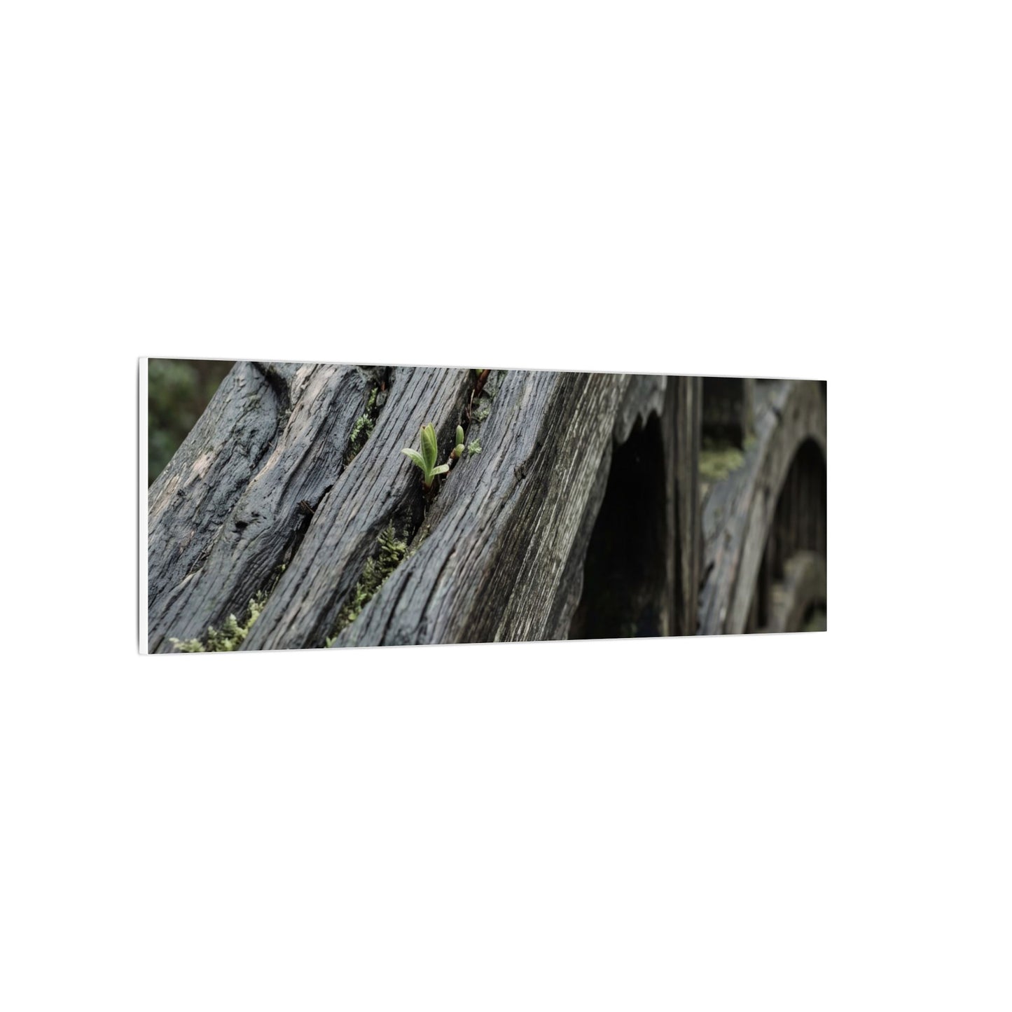 Overcast Wooden Bridge Canvas Art - Japandi Kanso