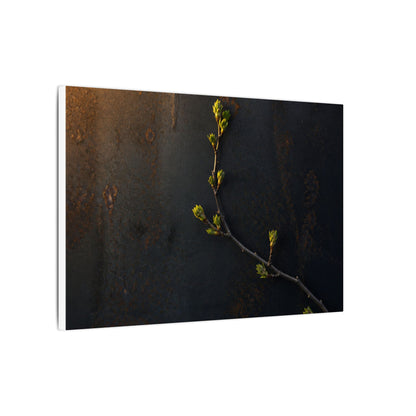 Dark Japandi Rust Patina in Golden Hour | Moody Minimal Canvas Art