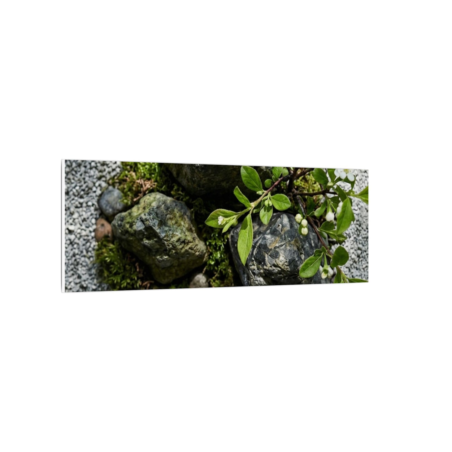 Zen Ceramic Bowl in Dappled | Karesansui Canvas Art