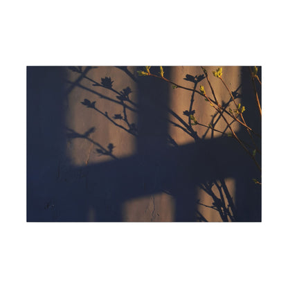 Shadow Play Canvas Art | Spring Dark Japandi Shadow Zen Art Art Print