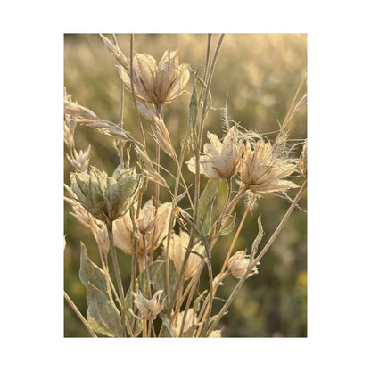 Cozy Dried Flowers Wall Art Print - Minimal Line Japandi