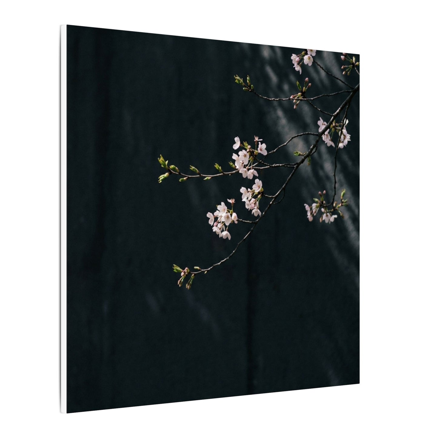 Cherry Blossom Spring Canvas Art | Dark Japandi Sophisticated Design