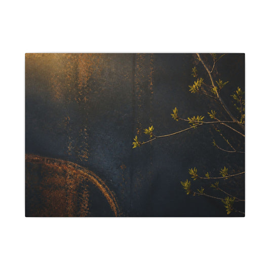 Spring Rust Patina Dark Texture Canvas Art | Moody Decor