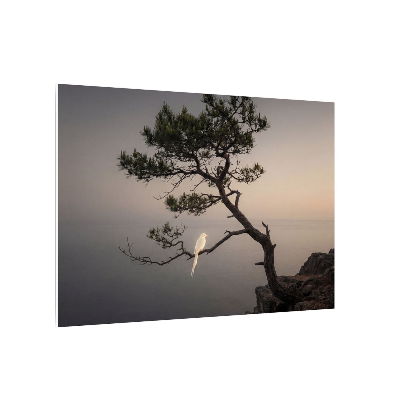 Dawn Pine Tree Canvas Art - Dark Japandi Datsuzoku