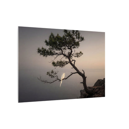 Dawn Pine Tree Canvas Art - Dark Japandi Datsuzoku