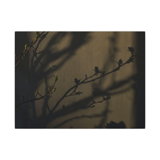 Seijaku Shadow Play Canvas Art - Dark Japandi Charcoal Ink