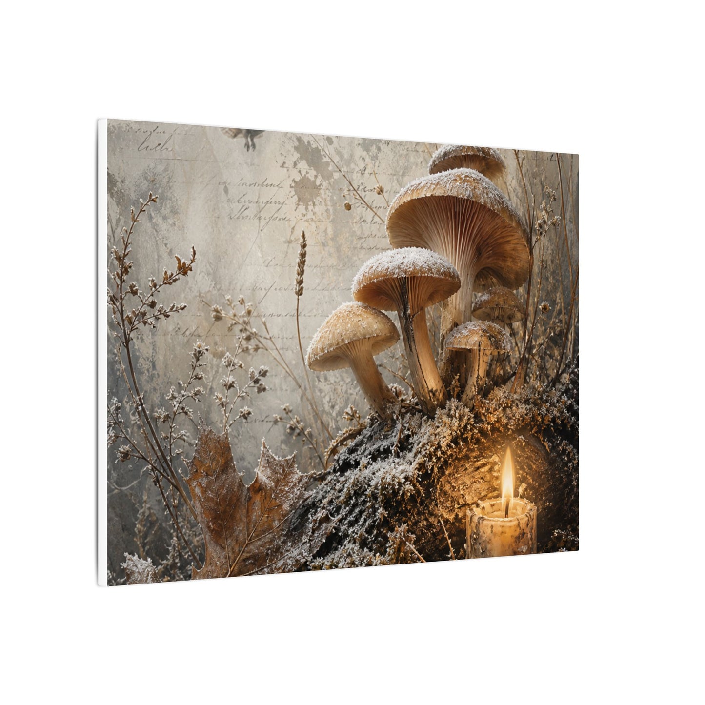 Wild Mushrooms Texture Canvas Art | Elegant Japandi Art