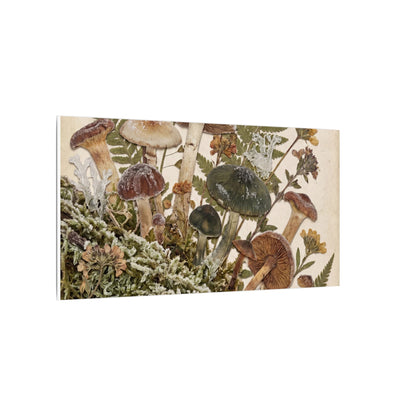 Winter Wild Mushrooms Herbarium Canvas Art | Enchanting Decor