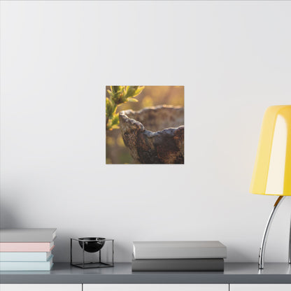 Golden Hour Ceramic Bowl Canvas Art - Dark Japandi Ma