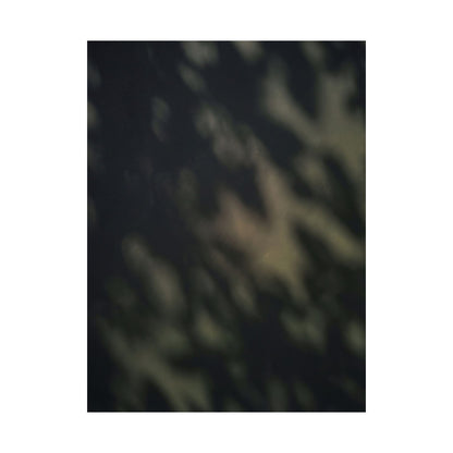 Dappled Shadow Play Wall Art Print - Dark Japandi Ma