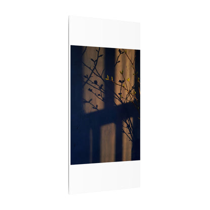 Shadow Play Canvas Art | Spring Dark Japandi Shadow Zen Art