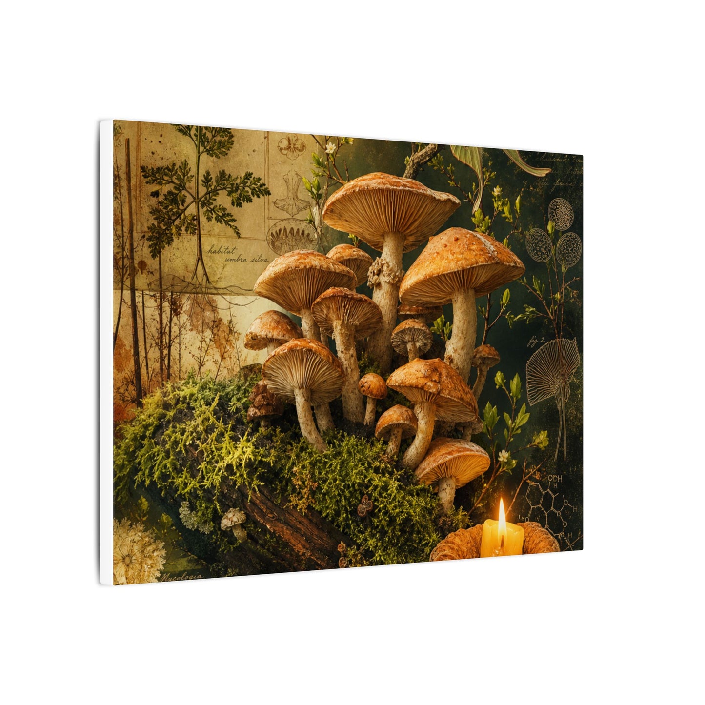 Spring Wild Mushrooms Herbarium Canvas Art | Earthy Decor