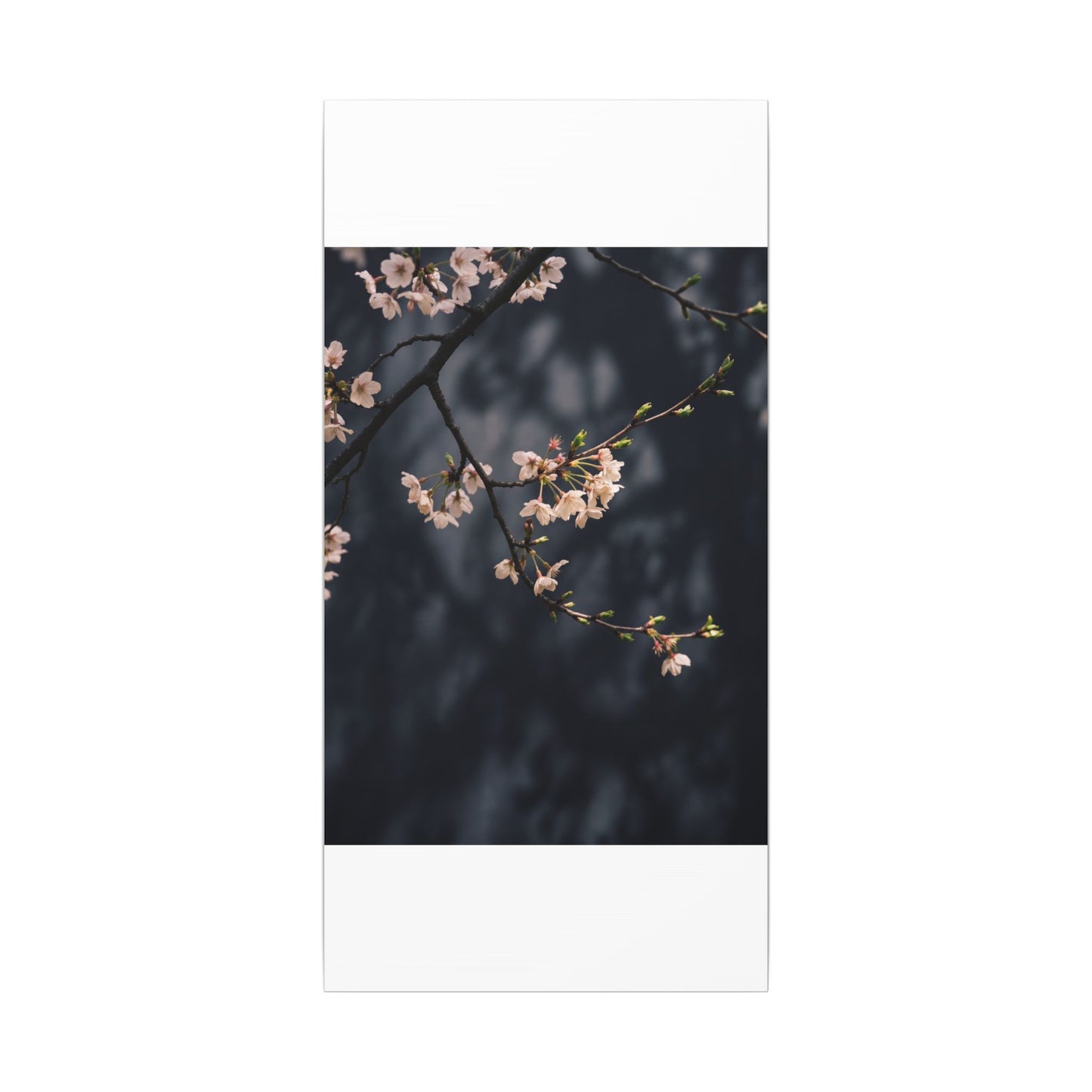 Cherry Blossom Moody Minimal Canvas Art | Bold Dark Japandi Art