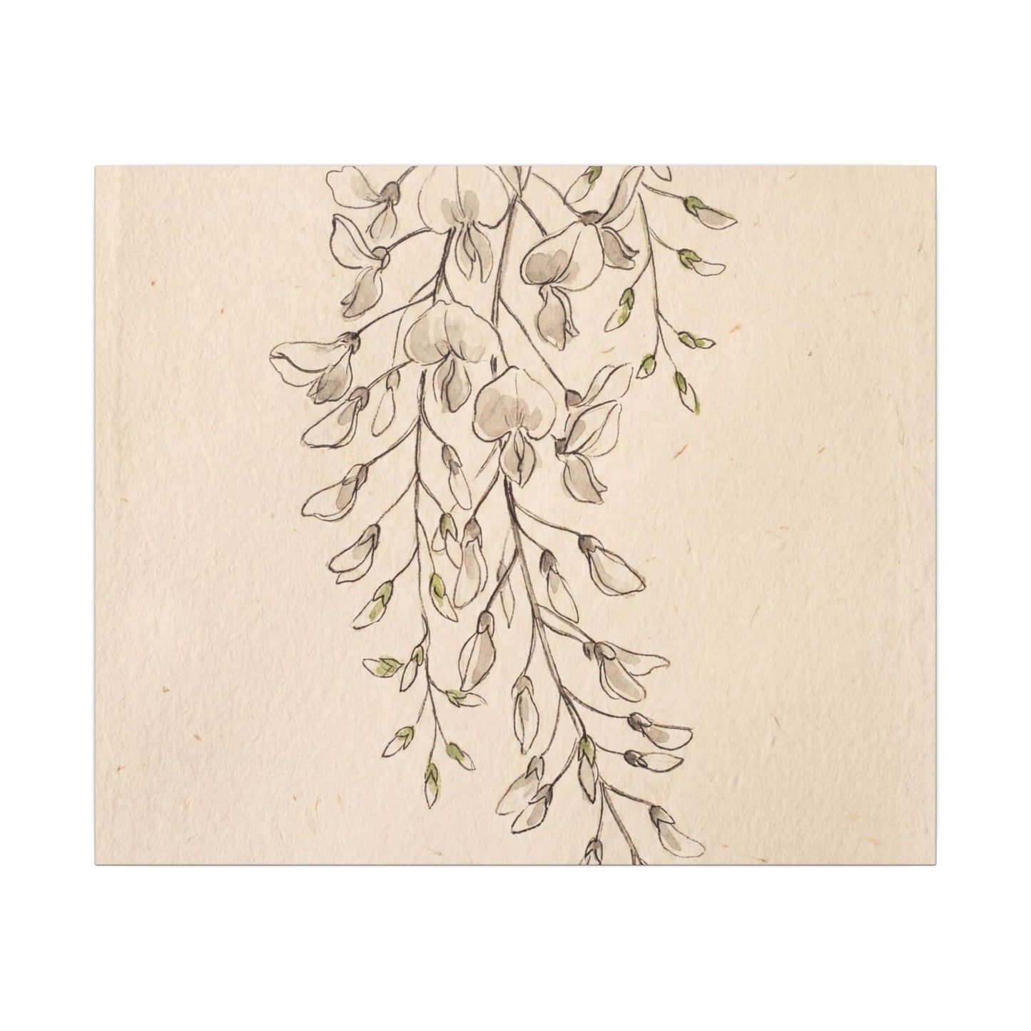 Japandi Wisteria in Golden Hour | Minimal Line Canvas Art