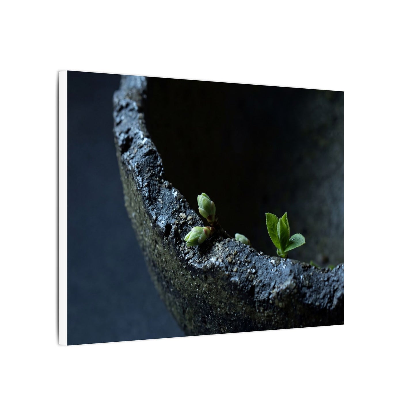 Ceramic Bowl Moody Minimal Canvas Art | Sophisticated Dark Japandi Art