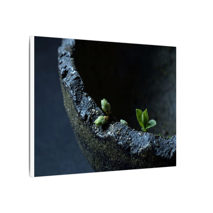 Ceramic Bowl Moody Minimal Canvas Art | Sophisticated Dark Japandi Art