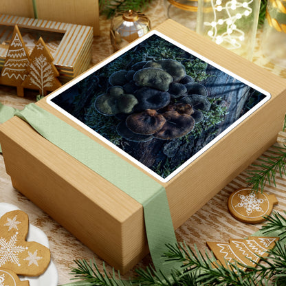 Wild Mushrooms Sticker | Winter Dark Japandi Moody Minimal Art Art Print