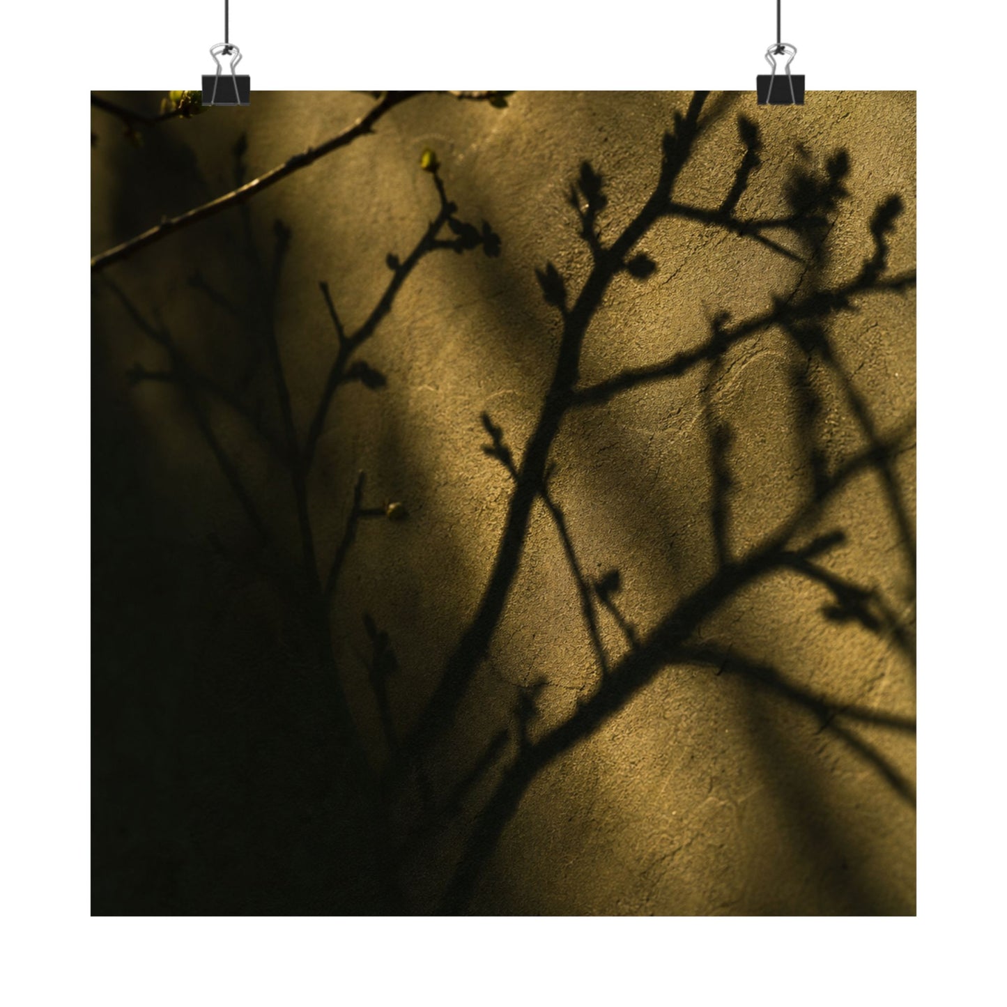 Golden Hour Shadow Play Wall Art Print - Dark Japandi Seijaku