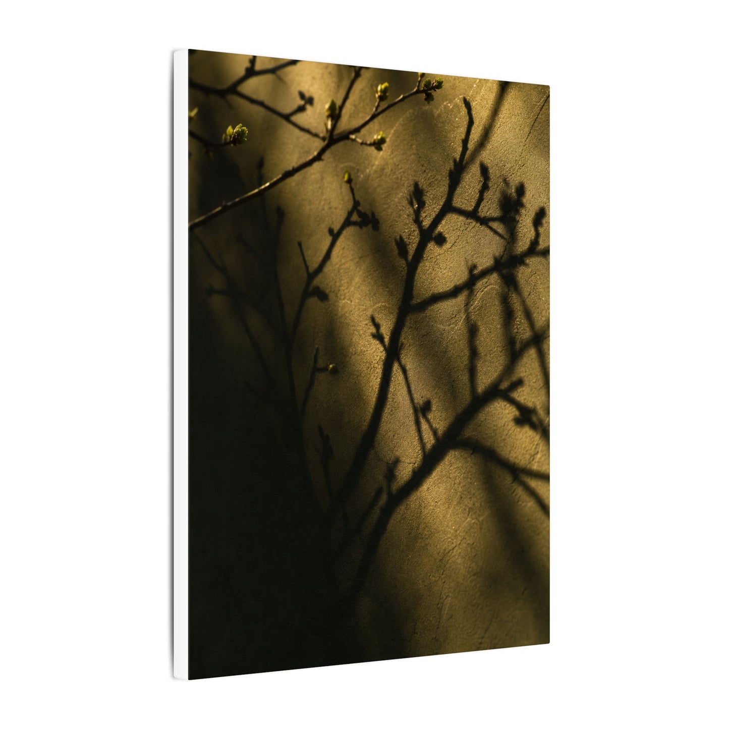 Golden Hour Shadow Play Canvas Art - Dark Japandi Seijaku