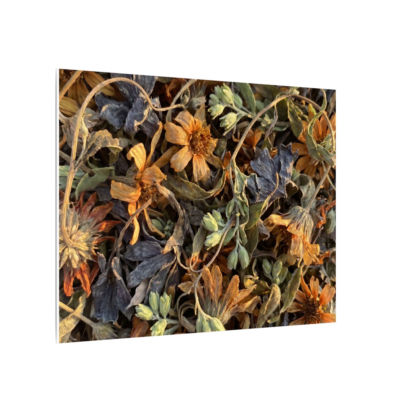 Spring Dried Flowers Japanese Pattern Canvas Art | Warm Decor