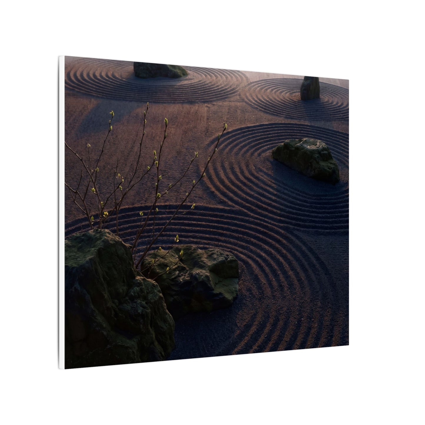 Spring Rock Garden Shadow Zen Canvas Art | Luxurious Decor