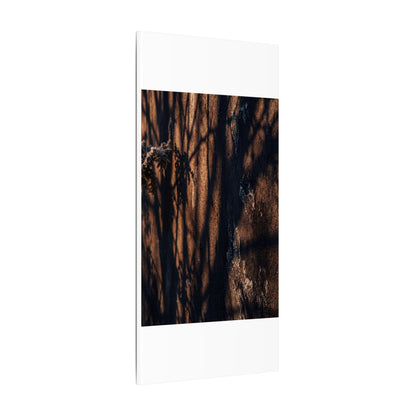 Golden Hour Shadow Play Canvas Art - Dark Japandi Fukinsei