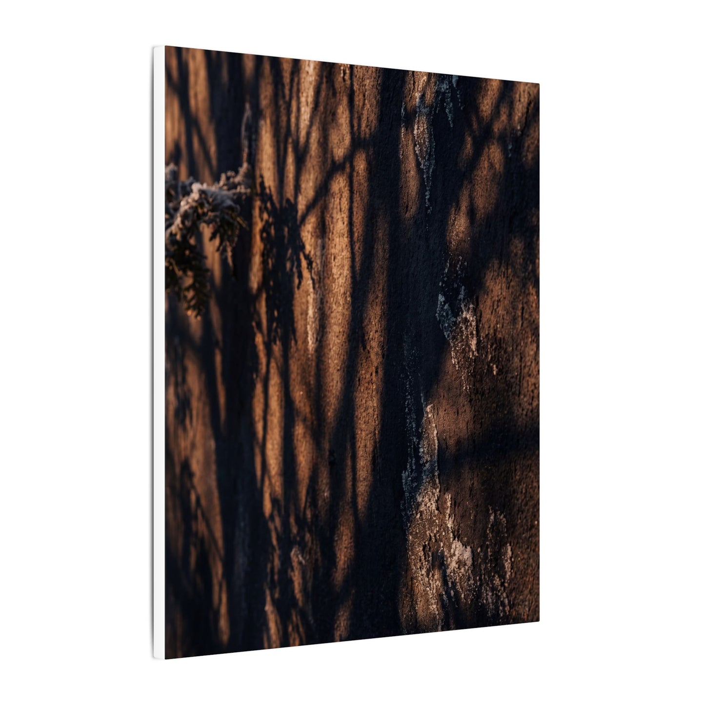 Golden Hour Shadow Play Canvas Art - Dark Japandi Fukinsei