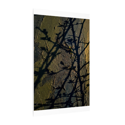 Kanso Shadow Play Canvas Art - Dark Japandi Dark Texture