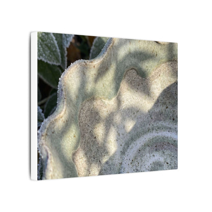 Dappled Ceramic Bowl Canvas Art - Japandi Seijaku