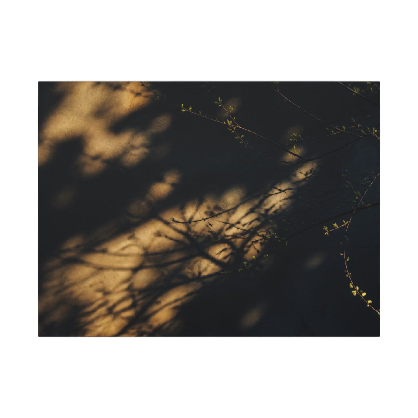 Moody Shadow Play Canvas Art - Moody Minimal Dark Japandi