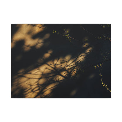 Moody Shadow Play Canvas Art - Moody Minimal Dark Japandi