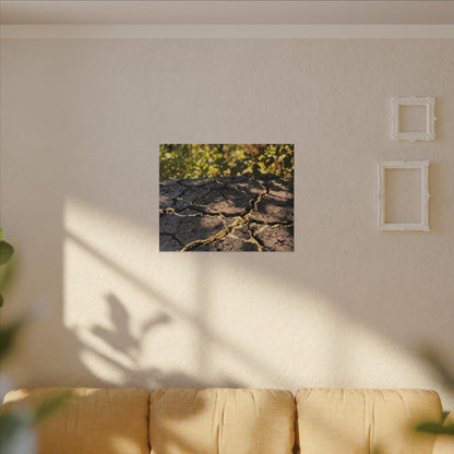 Shibui Cracked Earth Canvas Art - Kintsugi Gold Repair