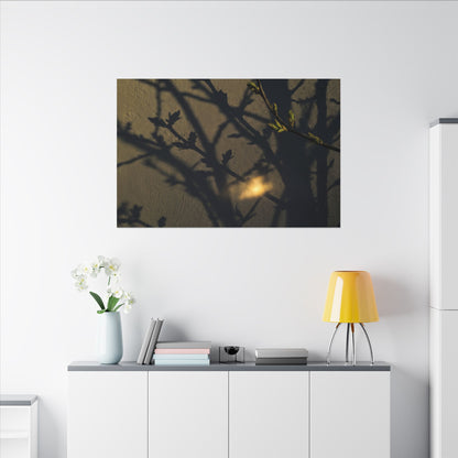 Bold Shadow Play Canvas Art - Moody Minimal Dark Japandi