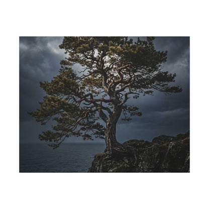 Dappled Pine Tree Canvas Art - Dark Japandi Fukinsei