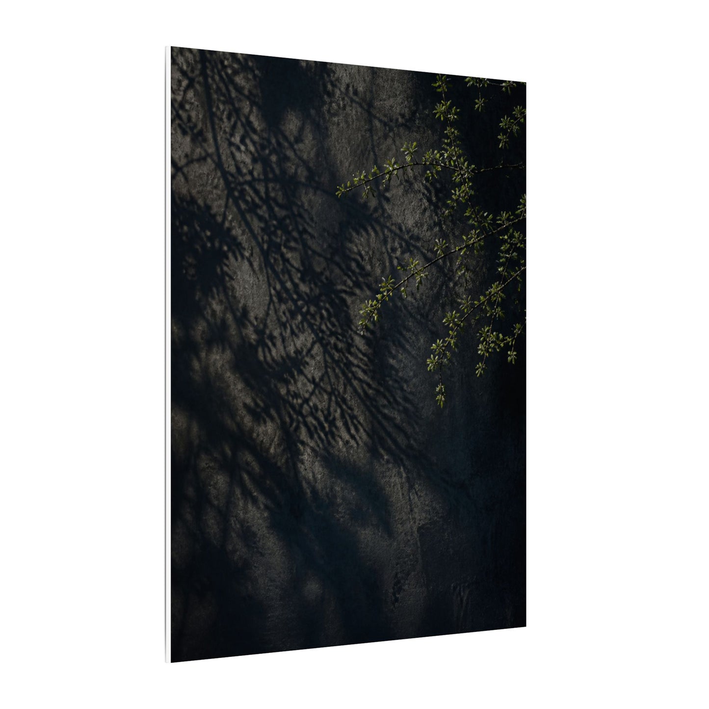Overcast Shadow Play Canvas Art - Dark Japandi Seijaku