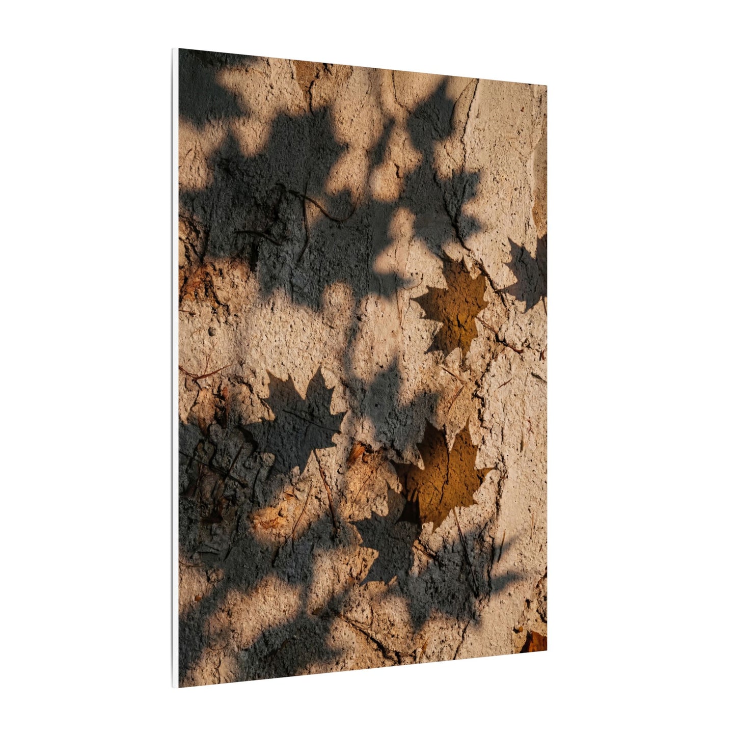 Cozy Shadow Play Canvas Art - Texture Japandi